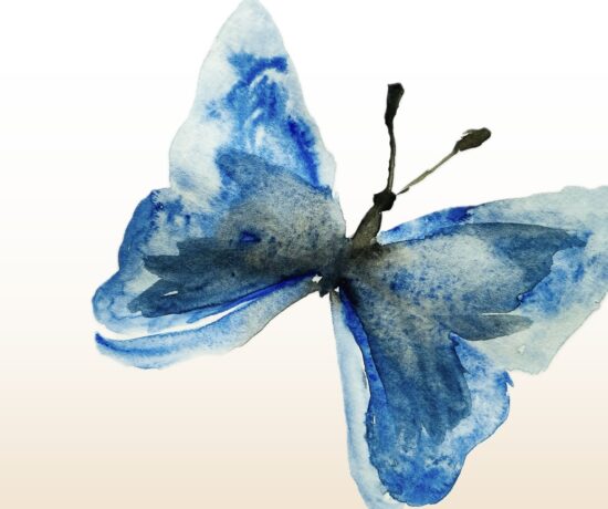 Symbolbild für ADHS bei Mädchen: ein Schmetterling steht für Entwicklung, Unsichtbarkeit von Symptomen und Veränderung