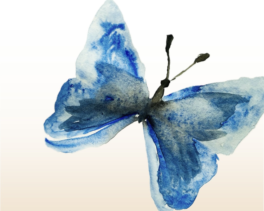 Symbolbild für ADHS bei Mädchen: ein Schmetterling steht für Entwicklung, Unsichtbarkeit von Symptomen und Veränderung